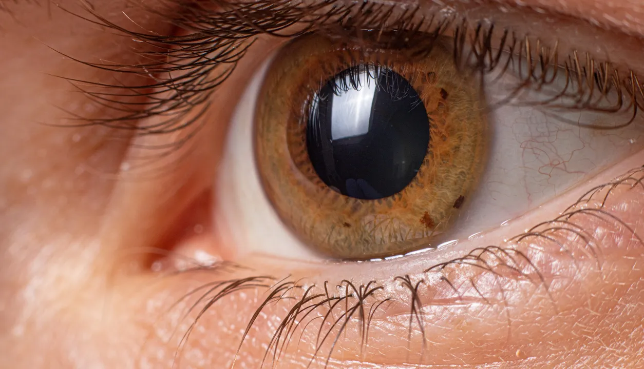 இலங்கையிலிருந்து பாகிஸ்தானுக்கு 36,000 கருவிழிப்படலங்கள்