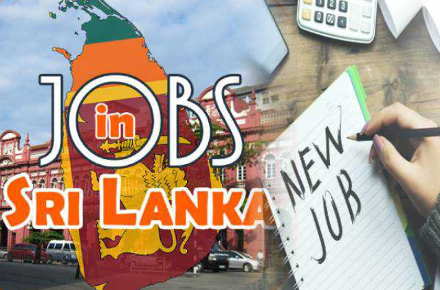 புதிய வேலைவாய்ப்புகள் :  அரசாங்கம் எடுத்துள்ள அதிரடி நடவடிக்கை