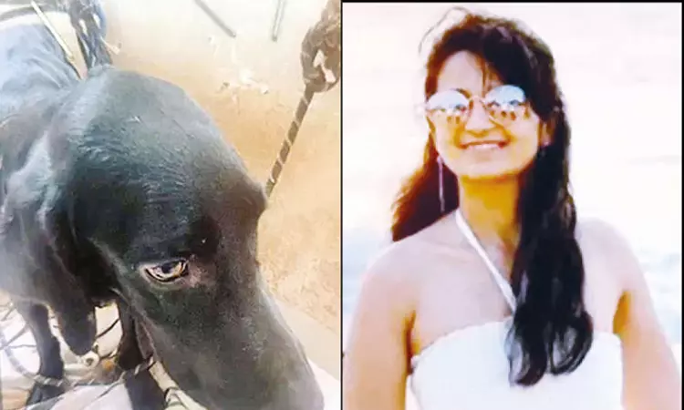 மாந்திரீகத்திற்காக நாயைக் கொன்ற பெண் என்ஜினீயர்