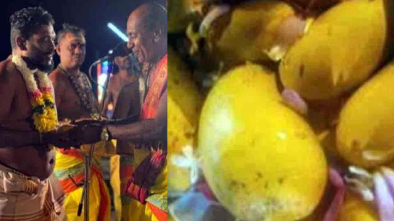 யாழ் பிரபல ஆலயத்தில் 10 இலட்சம் ரூபாய்க்கு ஏலம் எடுக்கப்பட்ட மாம்பழம்
