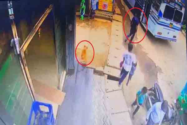 நாய் மீது ஈவிரக்க்மின்றி கொதிநீர் ஊற்றிய நபர்