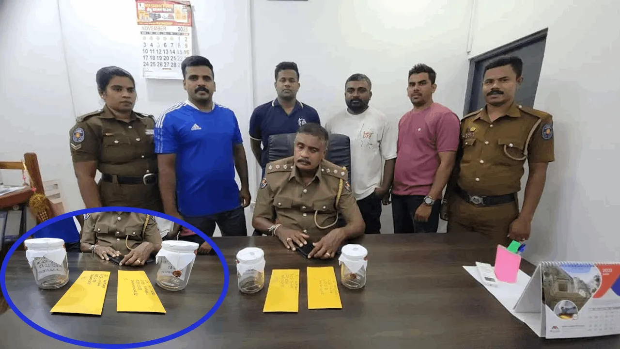 யாழில் காதலன் வீட்டில் திருடி மாட்டிய கிளிநொச்சி யுவதி