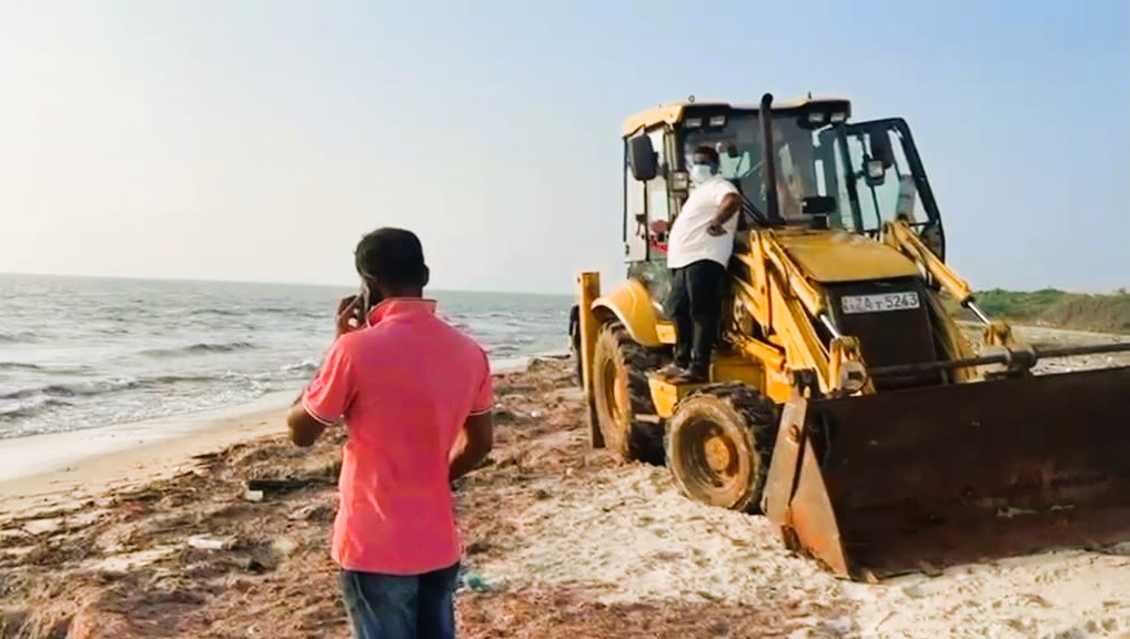 மன்னாரில் ஆயிரக்கணக்கான கால் நடைகளை உயிரிழப்பு